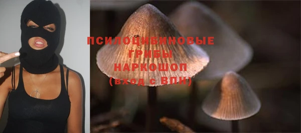 mdpv Инсар