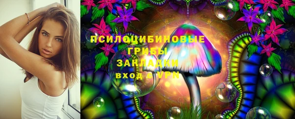 mdpv Инсар