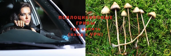 герыч Иннополис