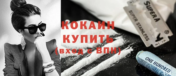mdpv Инсар
