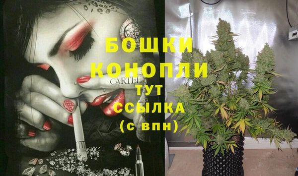 герыч Иннополис